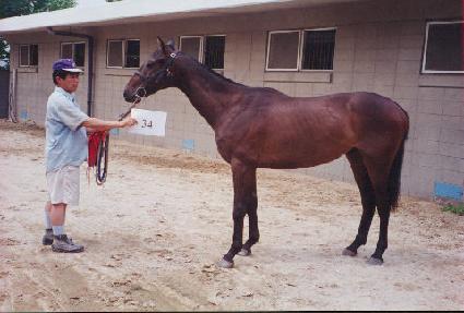 �۶��̵�����Ʈ ����