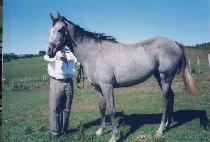 ��Ƽ (GEETEE) ����