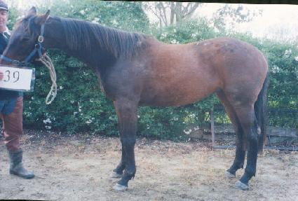 ��Ʈ���� ����