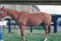 ������� (MURYANGDAESU) ����