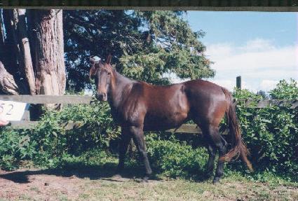 ���ֹݵ��� ����