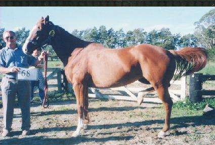 �ؼ� ����