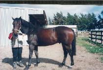 �Ͻ� (WANSEUNG) ����