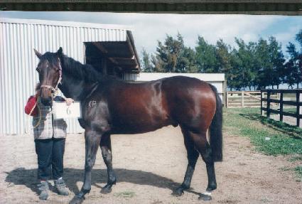 �Ͻ� ����