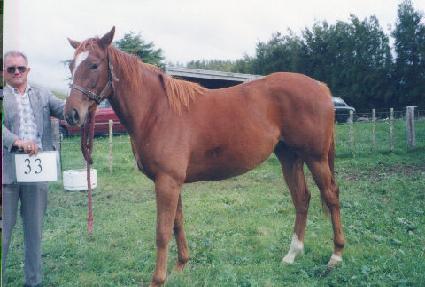 �ÿ��� ����