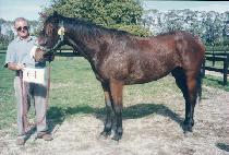 �����彺 (APEX) ����