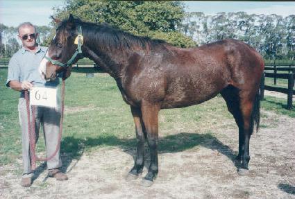 �����彺 ����