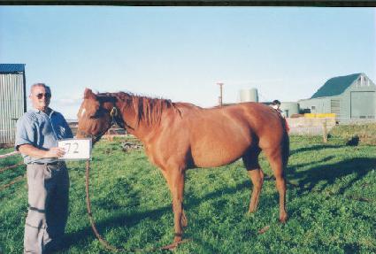 �õ� ����