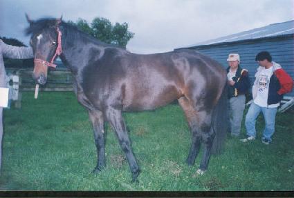 ���� ����