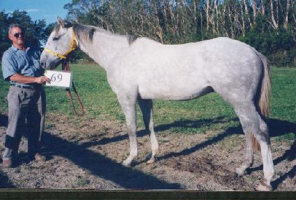 ���и������ ����