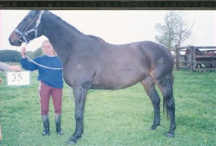 ���� ����