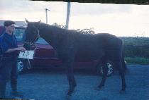 ��δ밣 (PAEKTUDAEGAN) ����