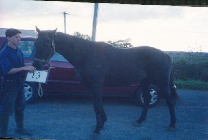 ��δ밣 ����