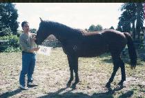 ������ (KORYEOSEONG) ����