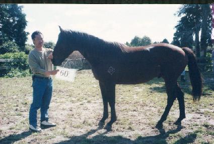 ������ ����