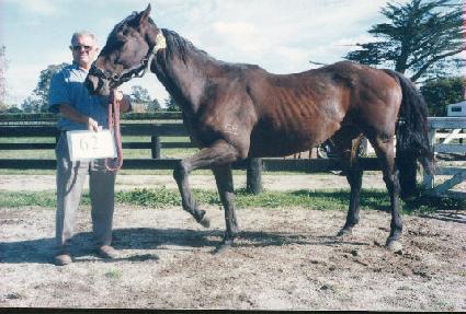 Ŭ���ĸ���Ʈ ����