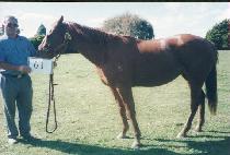 ���Һ긮�� (AUTUMN BREEZE) ����