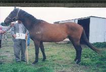 �°� (SEUNGGYE) ����