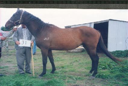 �°� ����