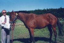 �츮���۷��� (JULIE DOUGLAS) ����