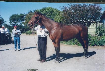 Ÿ�̰� ����