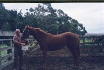 ���ں��� (ISABELLE LEE) ����