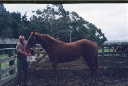 ���ں��� ����