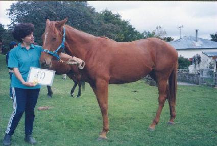 ��Ż�� ����