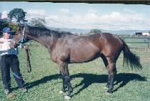 ���������̽� (DOCTOR��S CHOICE) ����