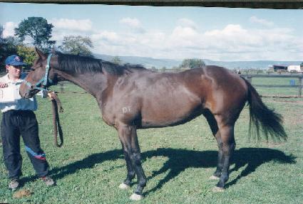 ���������̽� ����