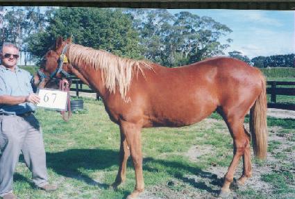 ��ŭ�� ����