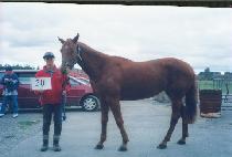 Ʈ�긮�ƿ콺Ƽ�� (TRULY OUSTED) ����