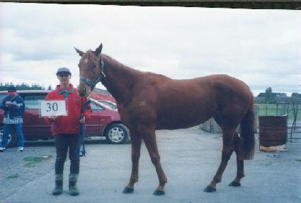 Ʈ�긮�ƿ콺Ƽ�� ����