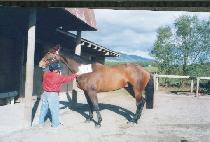 �������� (WONDER BOY) ����