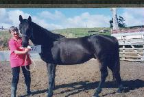 �̵帶 (MIDEUMA) ����