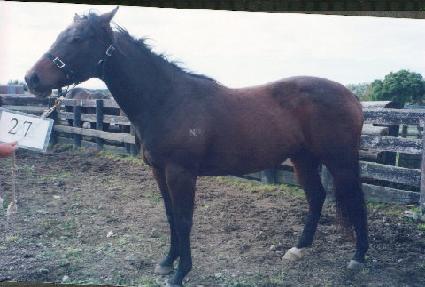 ù�� ����