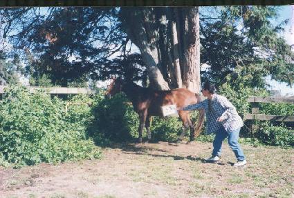 ���� ����