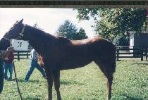 �̺��� (MI VAIN) ����