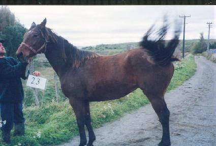 ��ǳ���� ����