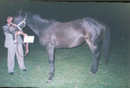 ���Ͻ��ǵ� ����