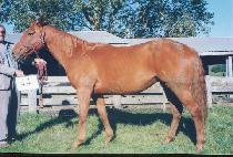 �����̷� (SUJIK IRYUK) ����