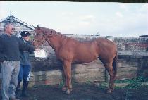 ��Ź (PALT��AK) ����