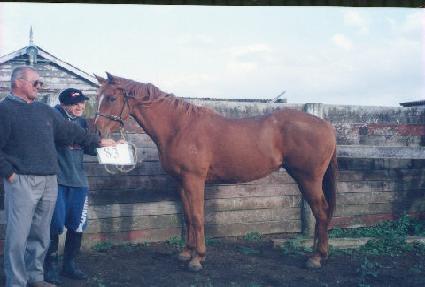 ��Ź ����