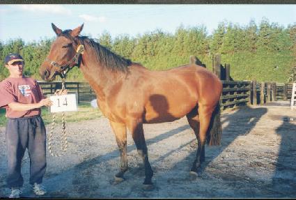 �Ŀ�Ʈ���̵� ����