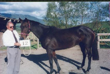 ���� ����