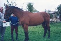 �ص�û (HAEDONGCH��EONG) ����