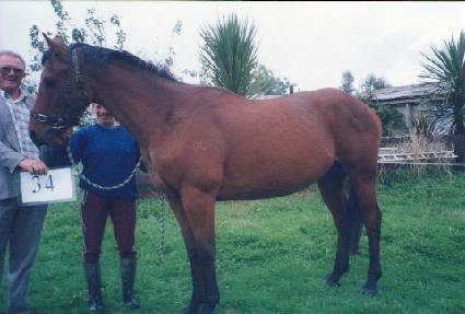 �ص�û ����