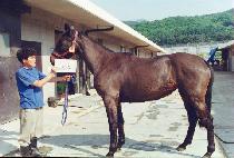 �ְ��ǲ� (CH��OEGANG-EUI KKUM) ����