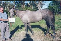 ��ձ� (TAEWANGGUNG) ����