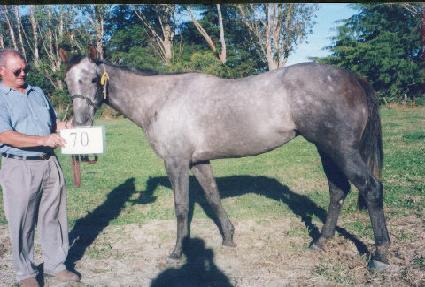 ��ձ� ����